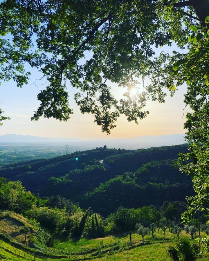 Villa Del Parco In Tuscany San Baronto Eksteriør bilde